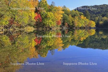 オンネトーの湖畔の紅葉