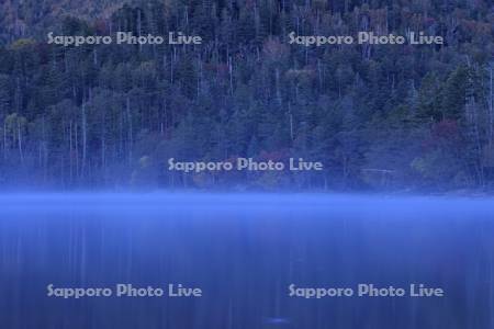 朝もやの夜明けの然別湖