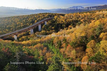 三国峠の紅葉と松見大橋（R273）