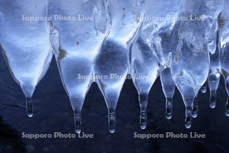 屈斜路湖のしぶき氷のつらら