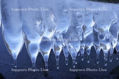 屈斜路湖のしぶき氷のつらら