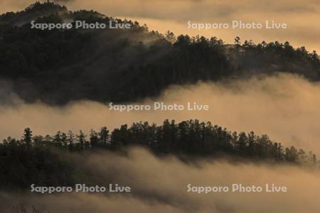 かもい岳から朝焼け雲海
