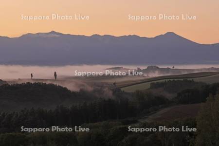 朝霧の丘と十勝岳連峰