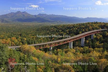 三国峠の紅葉と松見大橋R273