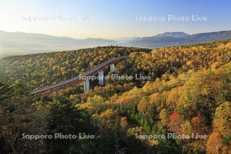 紅葉の三国峠の朝と松見大橋R273