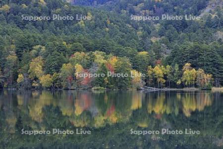 紅葉するオンネトー湖畔