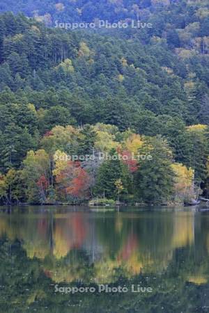 紅葉するオンネトー湖畔