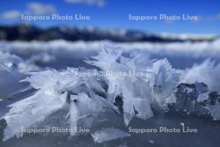 湖面を覆うフロストフラワーの屈斜路湖