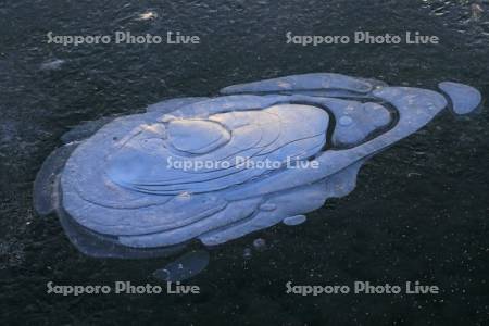 屈斜路湖のアイスバブル