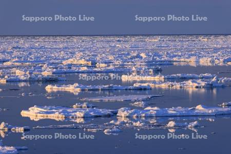 オホーツク海の夕景の流氷