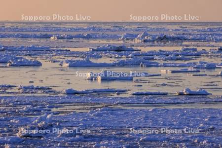 オホーツク海の夕景の流氷