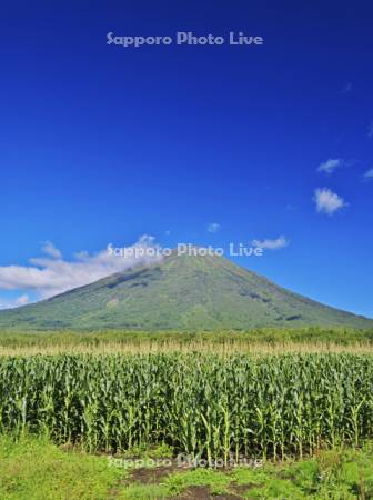 羊蹄山