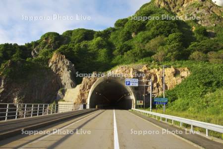 国道229号と西の河原トンネル