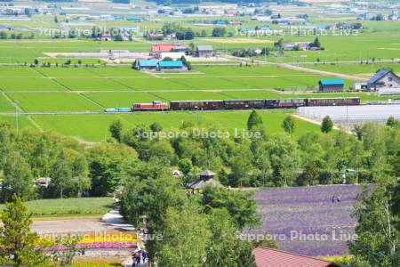 ファーム富田とノロッコ号