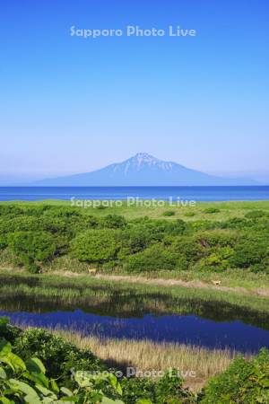 利尻島と日本海