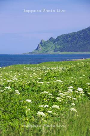 北見神威岬とオホーツク海