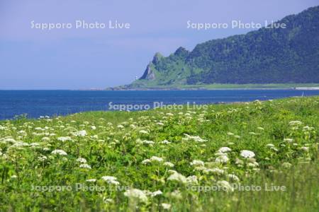 北見神威岬とオホーツク海