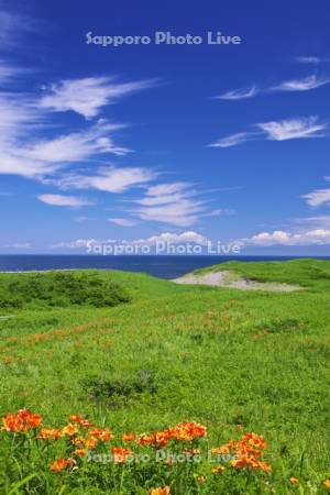 小清水原生花園