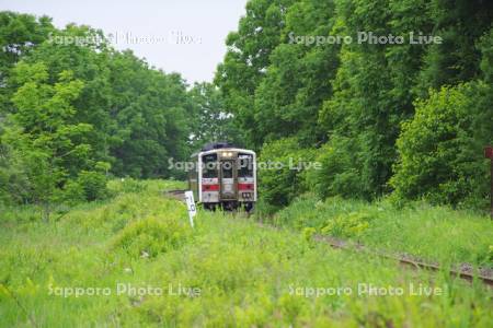 釧網本線　普通列車