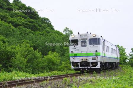釧網本線　列車