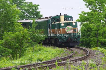 くしろ湿原ノロッコ号