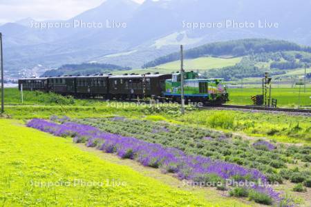 富良野・美瑛ノロッコ号