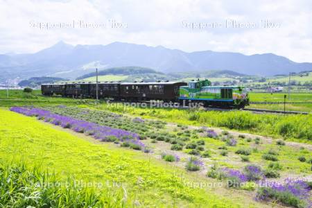 富良野・美瑛ノロッコ号