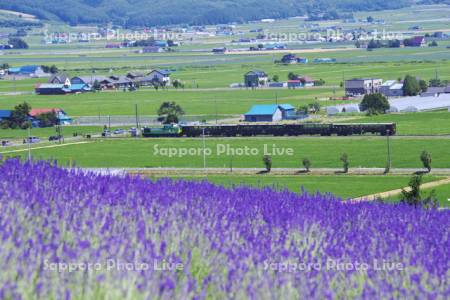 富良野・美瑛ノロッコ号