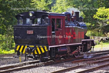 三笠鉄道記念館の蒸気機関車