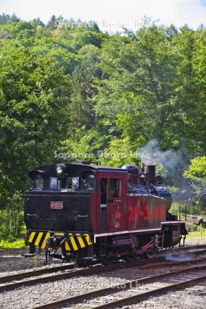 三笠鉄道記念館の蒸気機関車