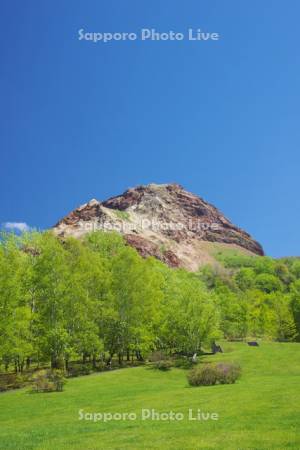 昭和新山