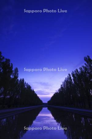 前田森林公園