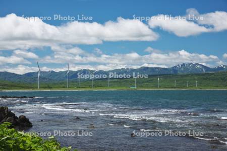 寿都湾と風力発電