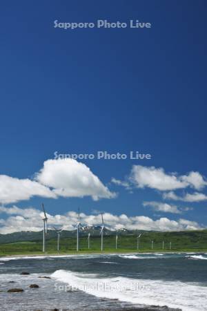 寿都湾と風力発電