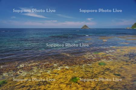 無縁島と日本海と海草