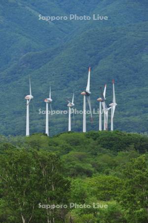 風力発電