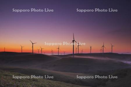 宗谷丘陵の風力発電