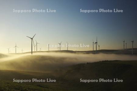 宗谷丘陵の風力発電