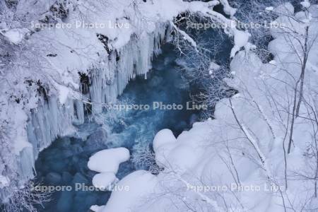 美瑛川と樹氷