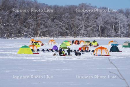 網走湖のわかさぎ釣り