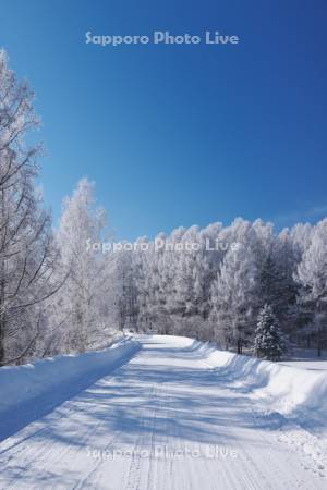 樹氷と冬の道