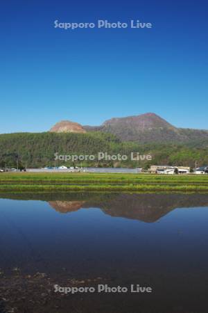 昭和新山と有珠山と水田