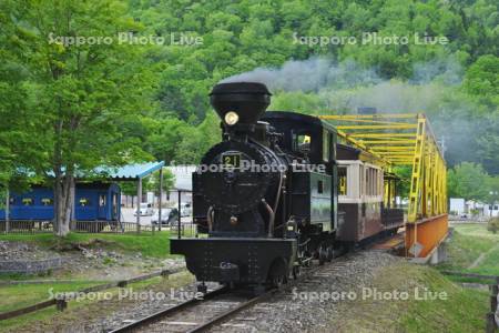 森林鉄道蒸気機関車　雨宮21号