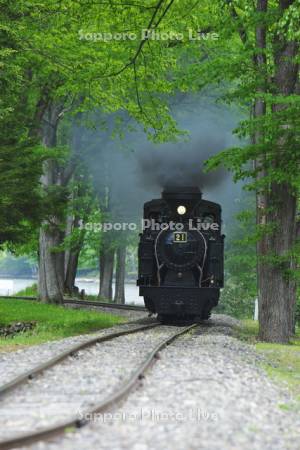 森林鉄道蒸気機関車　雨宮21号