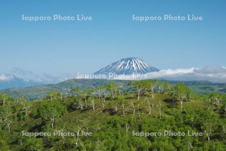 オロフレ峠付近より望む羊蹄山