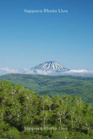 オロフレ峠付近より望む羊蹄山