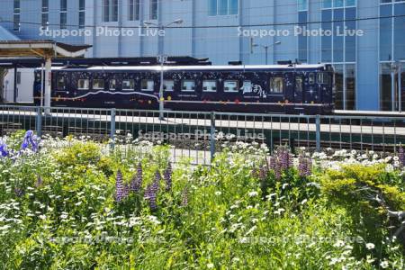 木古内駅とながまれ号