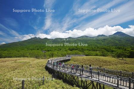 知床五湖高架木道と知床連山