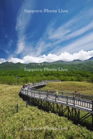 知床五湖高架木道と知床連山