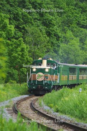 釧路湿原ノロッコ号